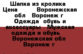 Шапка из кролика › Цена ­ 500 - Воронежская обл., Воронеж г. Одежда, обувь и аксессуары » Мужская одежда и обувь   . Воронежская обл.,Воронеж г.